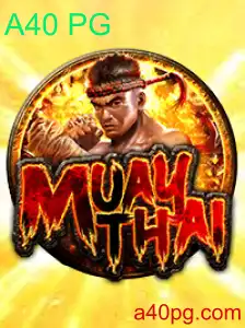 MuayThai: A Arte Marcial Que Conquista o Mundo